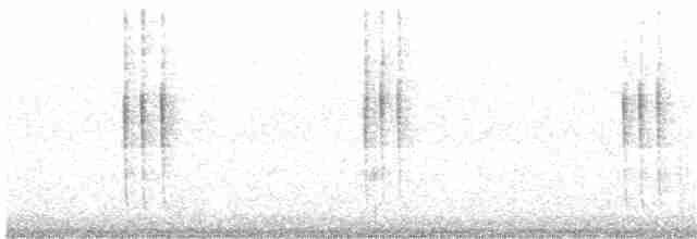 Colibri vesper - ML388722261