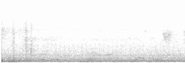 Clamorous Reed Warbler (Clamorous) - ML388723301