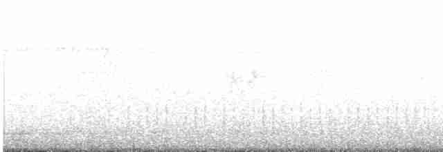 Greenish Warbler (trochiloides/ludlowi) - ML388723531