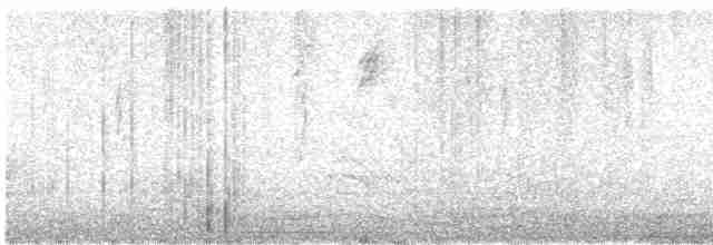Brown-crested Flycatcher - ML388863001