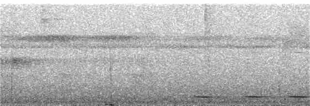 Kısa Kuyruklu Karıncaardıcı - ML388976611