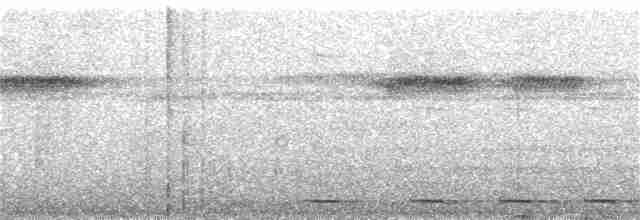 Kısa Kuyruklu Karıncaardıcı - ML388976711