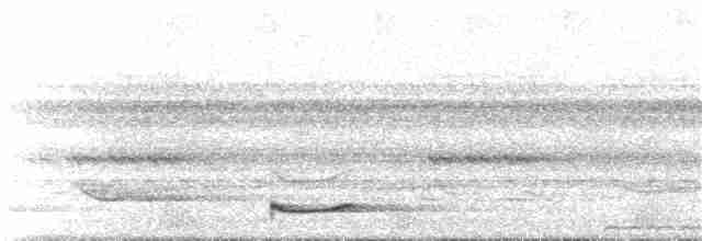 Bändernachtschwalbe - ML389061771