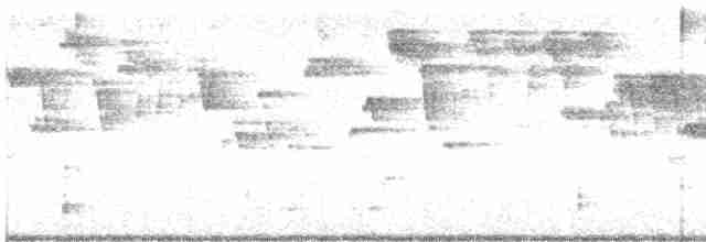 Troglodyte de Baird - ML389106431