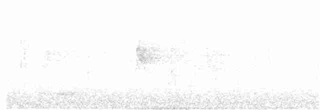 Kara Kasapkuşu - ML389150161