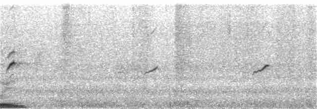 ורדית ארוכת-זנב - ML389157091