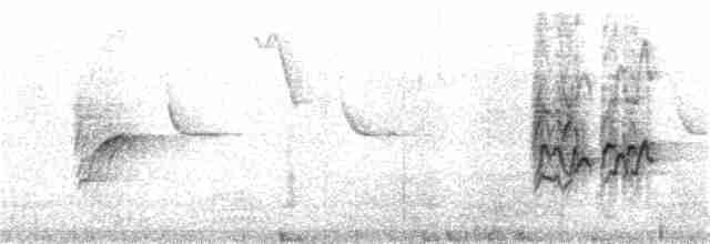 Long-tailed Rosefinch - ML389157151