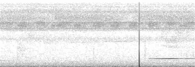Undulated Tinamou - ML389231491