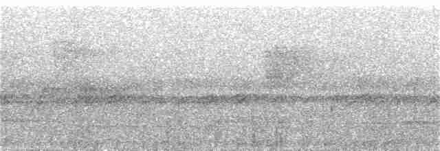 Trogon rosalba - ML389248381