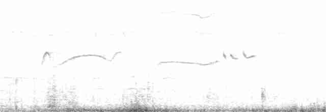 White-naped Xenopsaris - ML389411621