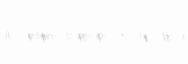 "Шишкар ялиновий (Western Hemlock, або тип 3)" - ML389557671