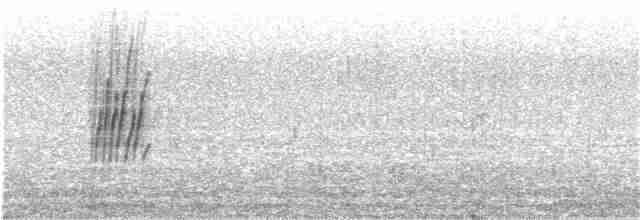 Güneyli Sert Kanatlı Kırlangıç - ML389600781
