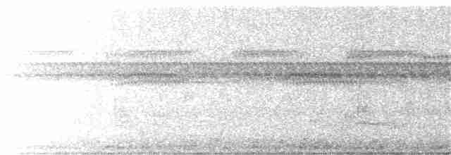 Planalto Slaty-Antshrike - ML389729591