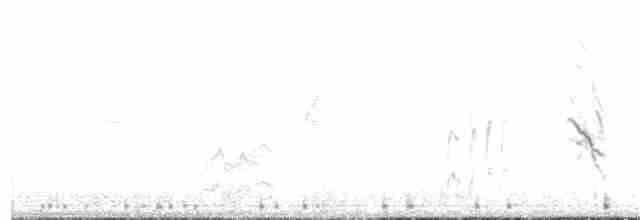 Горобець сніговий - ML389761791