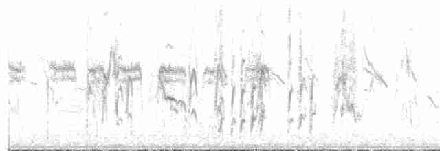 Снежный вьюрок - ML389761801