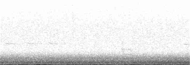 Épervière boréale - ML389773961