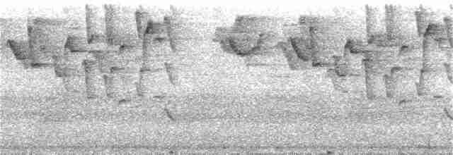 Гвианский колибри-отшельник - ML389947121