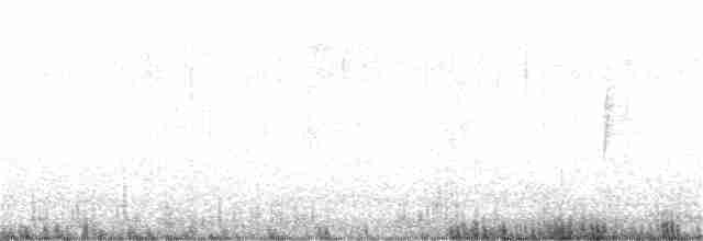Paruline à croupion jaune (auduboni) - ML389971701