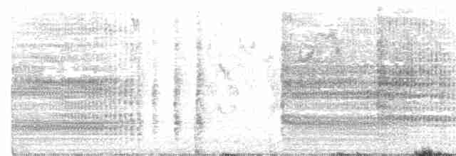 perlička kropenatá - ML390039281