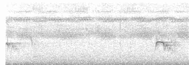 skjelltreløper (squamatus) - ML390091021