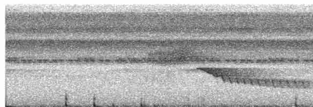 American Pygmy Kingfisher - ML390191221
