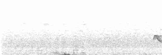 White-crested Elaenia - ML390692431