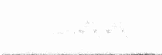 Black-throated Gray Warbler - ML390701621