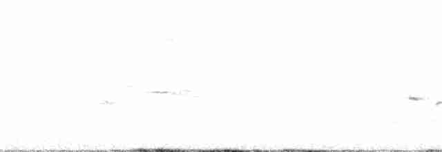 budníček menší (ssp. tristis) - ML390915751