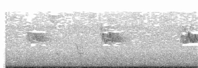 Graumantel-Brillenvogel - ML390945141