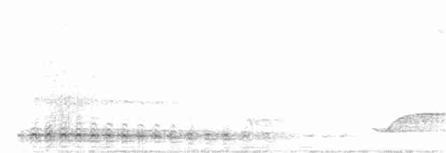 Серый павлиний фазан - ML390966741