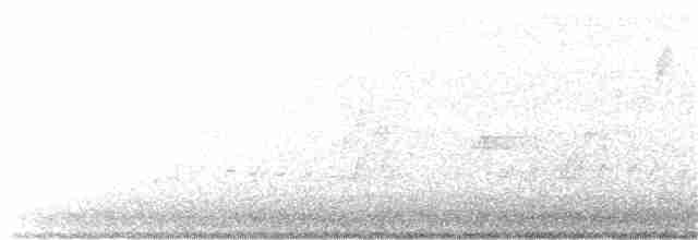 White-winged Triller - ML391010431