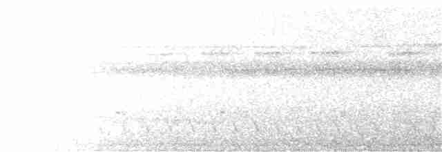 Antriade verdâtre - ML391015621