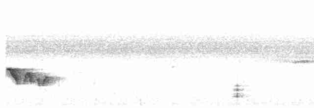 Gray-bellied Tesia - ML391028881