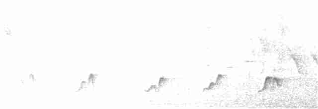 Белоухий крапивник - ML391031081