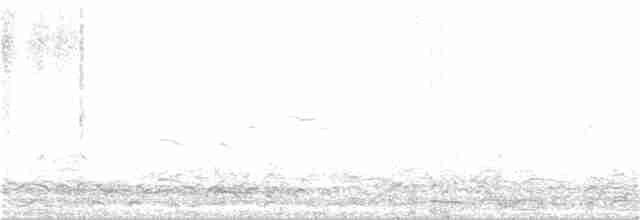 Лебедь-трубач - ML391040081