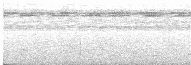 Gray-legged Tinamou - ML391078891