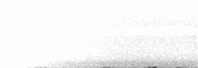 Канюк неоарктичний (підвид kemsiesi/hadropus) - ML391148841