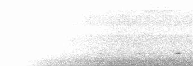 Краснохвостый канюк (kemsiesi/hadropus) - ML391148851