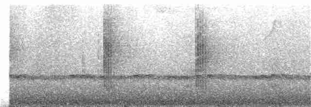 Зелоногрудый фиалкоух - ML391192481