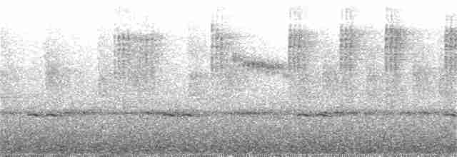 Черноухий колибри - ML391192681