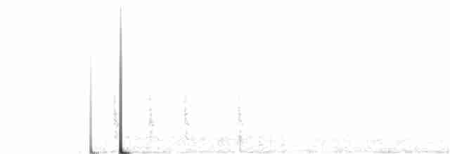 Кактусовый крапивник - ML391228201