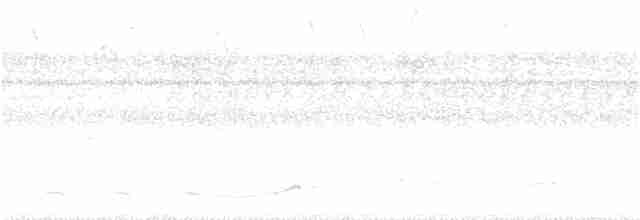 riflingspett (grammicus gr.) - ML391248481