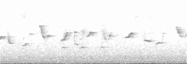 Вівчарик-ковалик (підвид tristis) - ML391340751