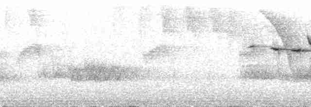Flavescent Warbler - ML39138