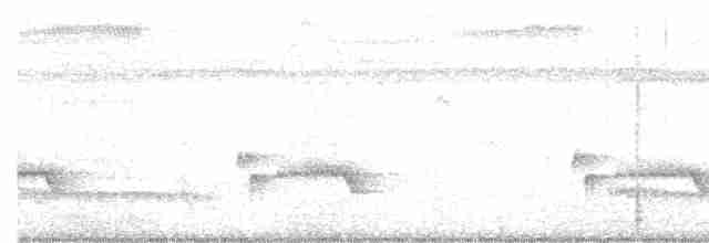 Luzonschneidervogel - ML391515891