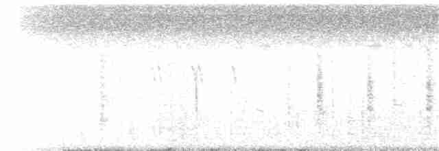 חרטומית חדת-זנב - ML391623121