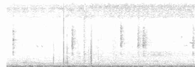 Nil Kamışçını (stentoreus/levantinus) - ML391638911