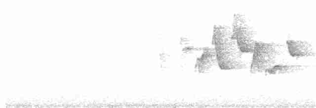 Canada Warbler - ML391711461