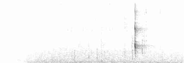 datlík černohřbetý - ML39181271