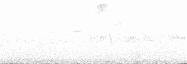 Окулярник сивоспинний - ML391848081